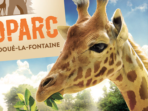 Charte graphique Bioparc