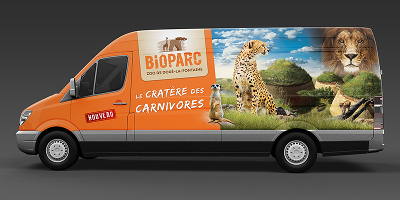 graphiste-angers-sauvage-bioparc-2020-5.jpg